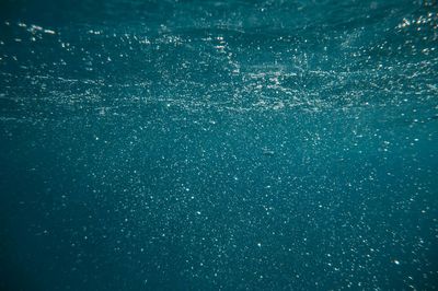 Ciclado del acuario: guía paso a paso sin peces